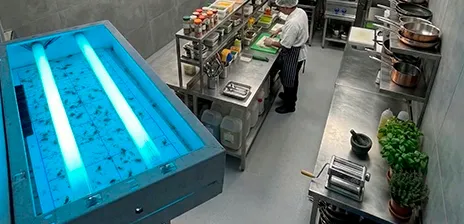 Armadilha luminosa R2