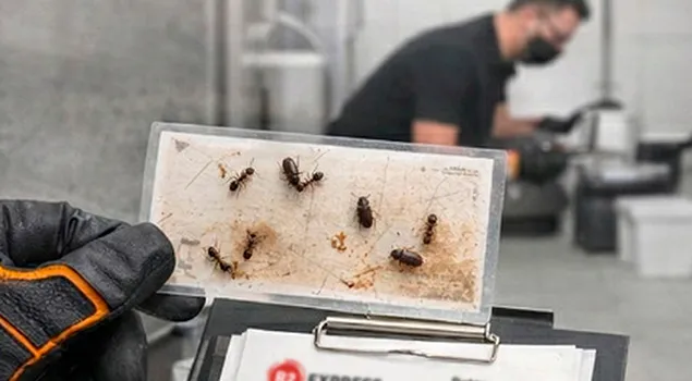 Checklist urbano incompleto durante inspeção